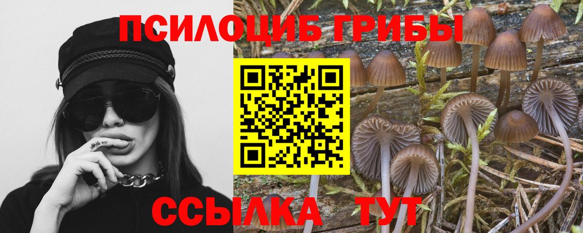Вейп ТГК Губаха