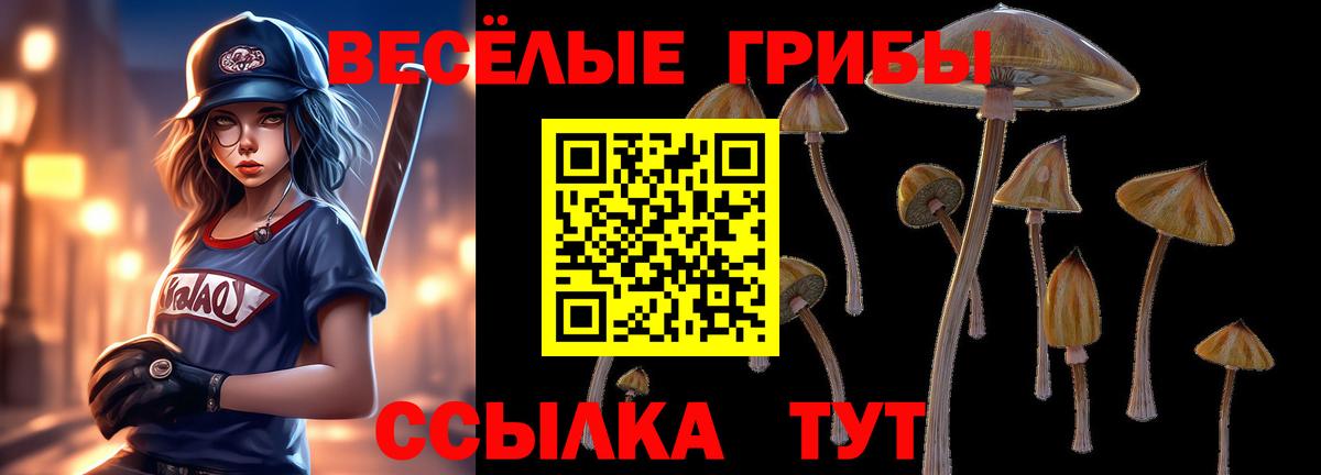 Псилоцибиновые грибы Psilocybine cubensis Губаха