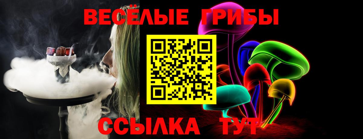 Галлюциногенные грибы мицелий  Вход с VPN  Псилоцибиновые грибы Psilocybe  цена наркотик  Губаха 