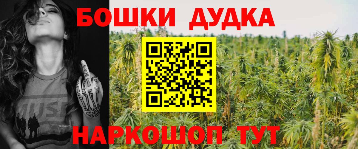 Бошки марихуана сатива Губаха